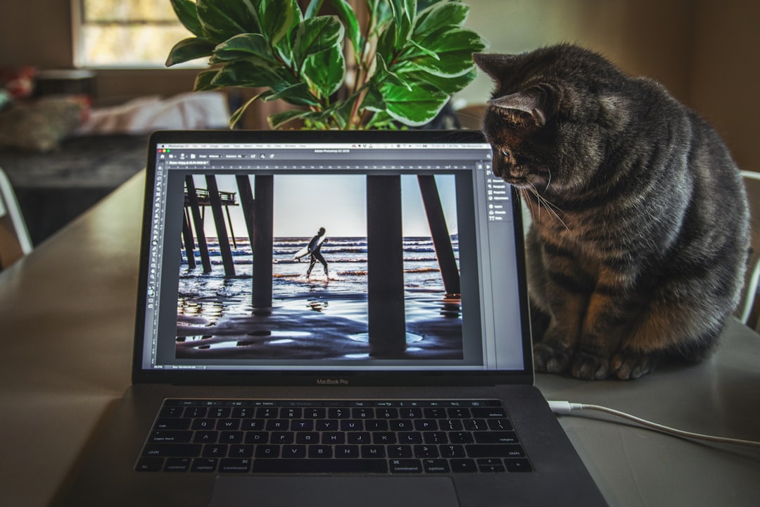 Master Git and GitHub: A Beginner's Guide