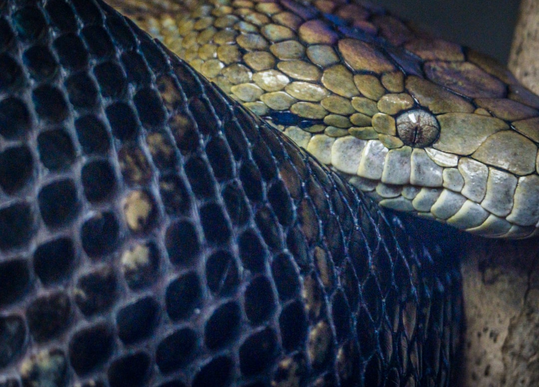 Master Python 2026: A Complete Beginner's Guide